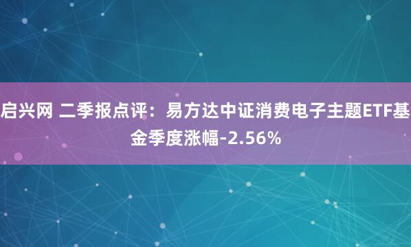 启兴网 二季报点评：易方达中证消费电子主题ETF基金季度涨幅-2.56%