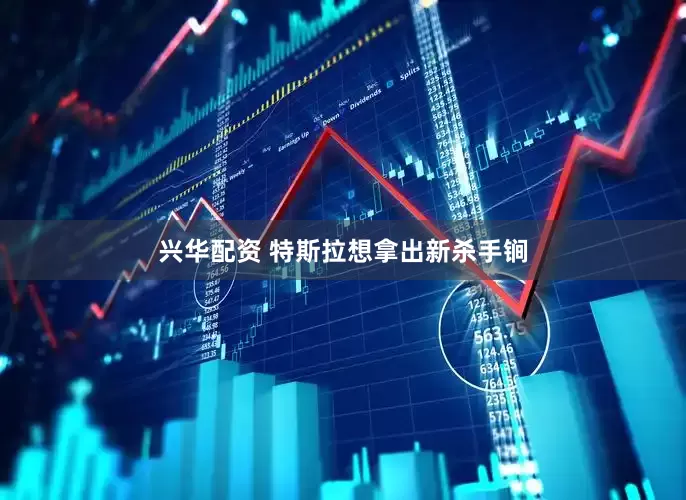 兴华配资 特斯拉想拿出新杀手锏