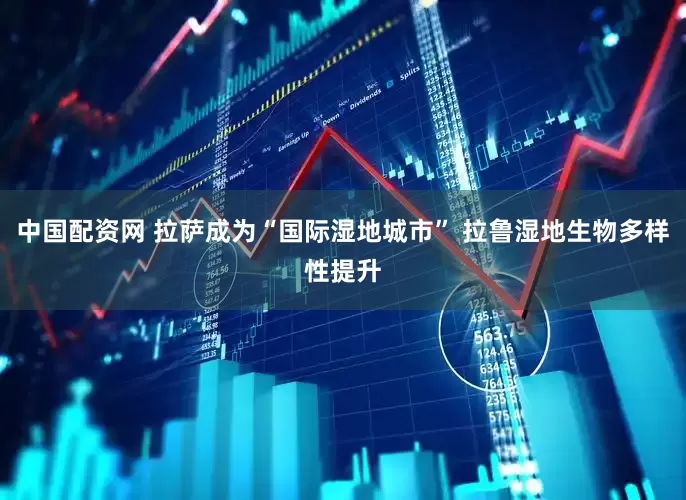 中国配资网 拉萨成为“国际湿地城市” 拉鲁湿地生物多样性提升