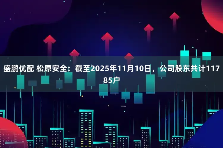 盛鹏优配 松原安全：截至2025年11月10日，公司股东共计11785户
