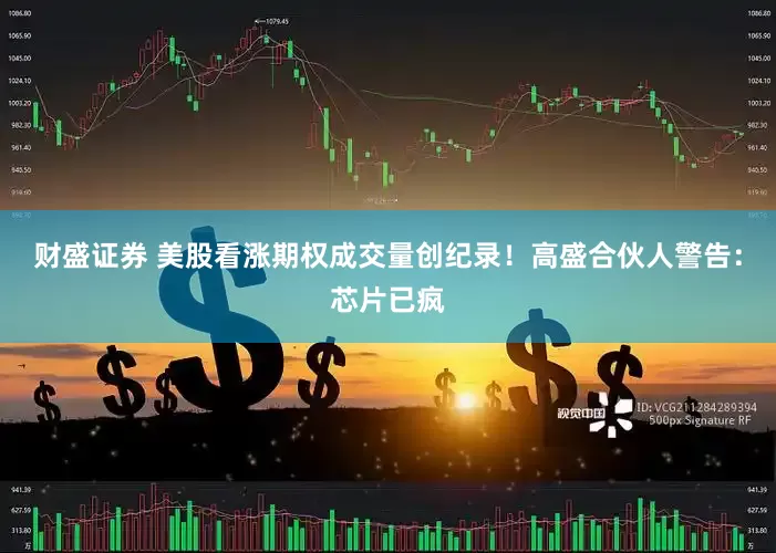 财盛证券 美股看涨期权成交量创纪录！高盛合伙人警告：芯片已疯